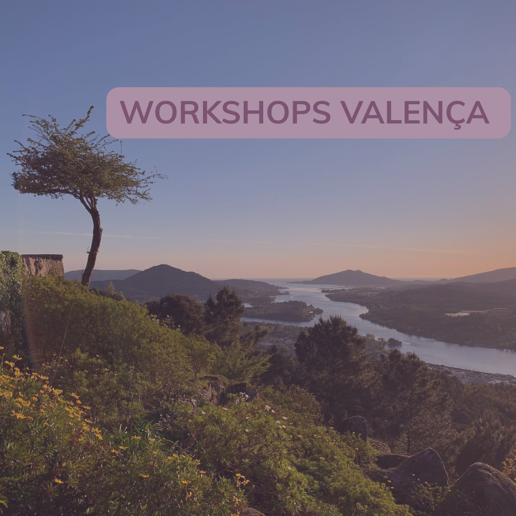 RIO MINHO - Intensivos Valença